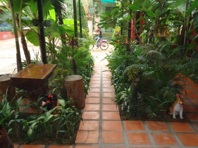 Ladybug Guesthouse Сием Реап Екстериор снимка