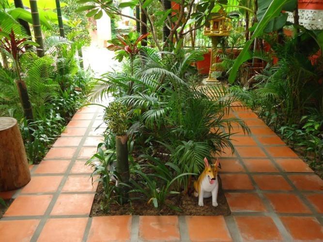 Ladybug Guesthouse Сием Реап Екстериор снимка